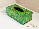 Green Abstract Lacquer Tissue Box